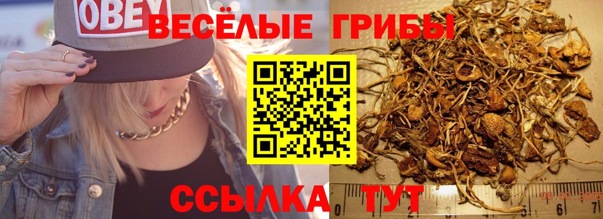 Галлюциногенные грибы мицелий Первоуральск